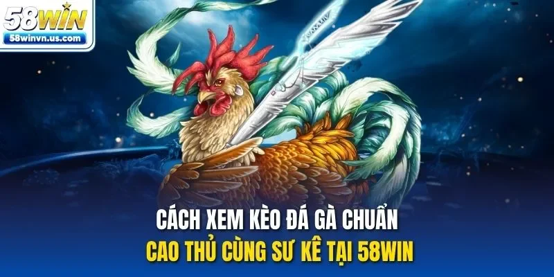 cách xem kèo đá gà